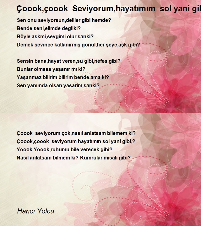 Hancı Yolcu