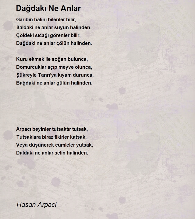 Hasan Arpaci