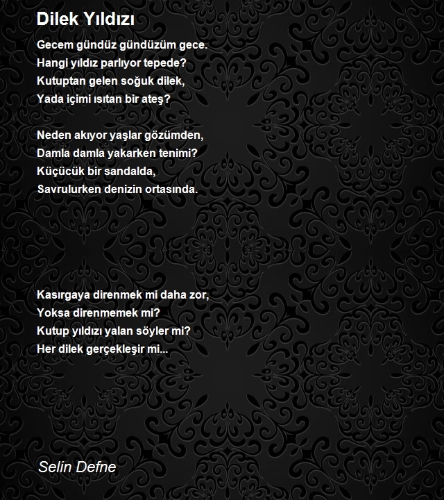 Selin Defne