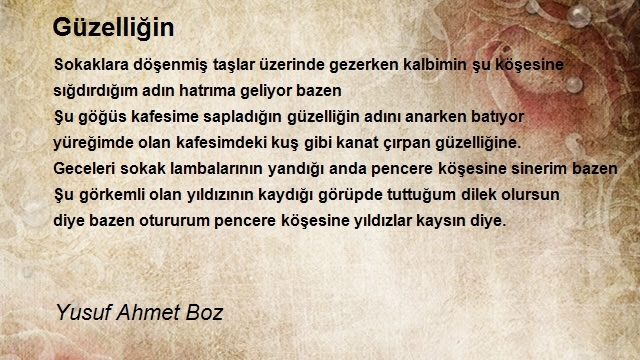 Yusuf Ahmet Boz