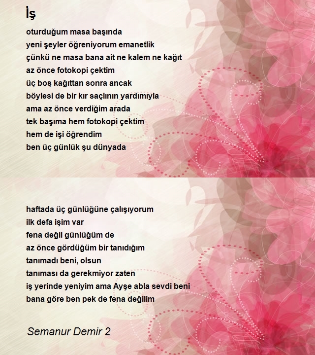 Semanur Demir 2