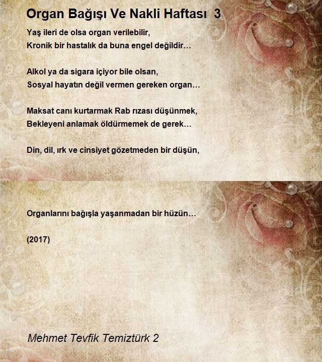 Mehmet Tevfik Temiztürk 2