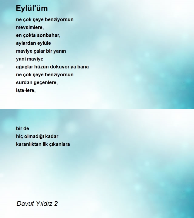 Davut Yıldız 2