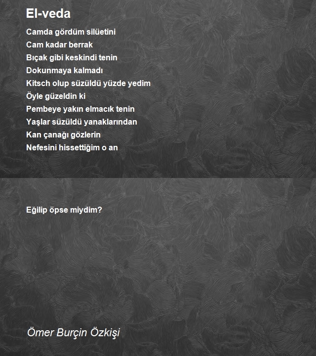 Ömer Burçin Özkişi