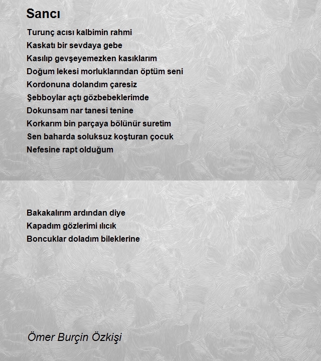 Ömer Burçin Özkişi