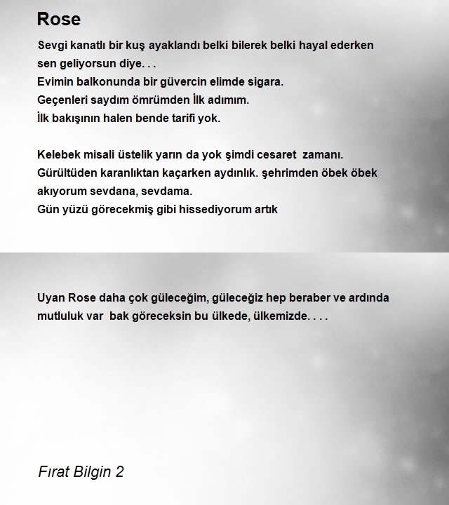 Fırat Bilgin 2