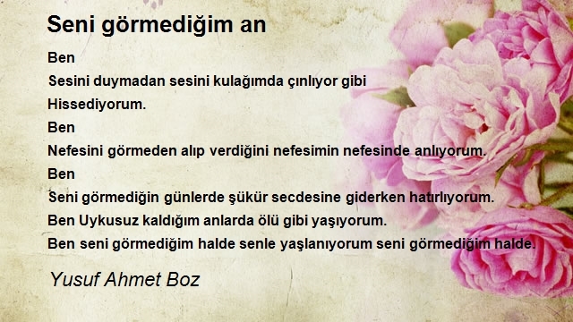 Yusuf Ahmet Boz