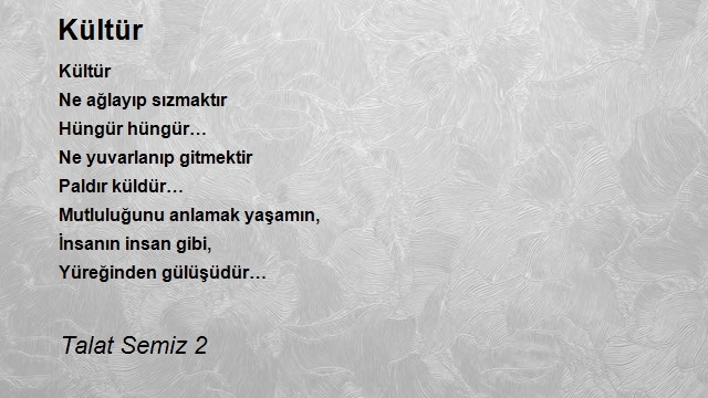 Talat Semiz 2