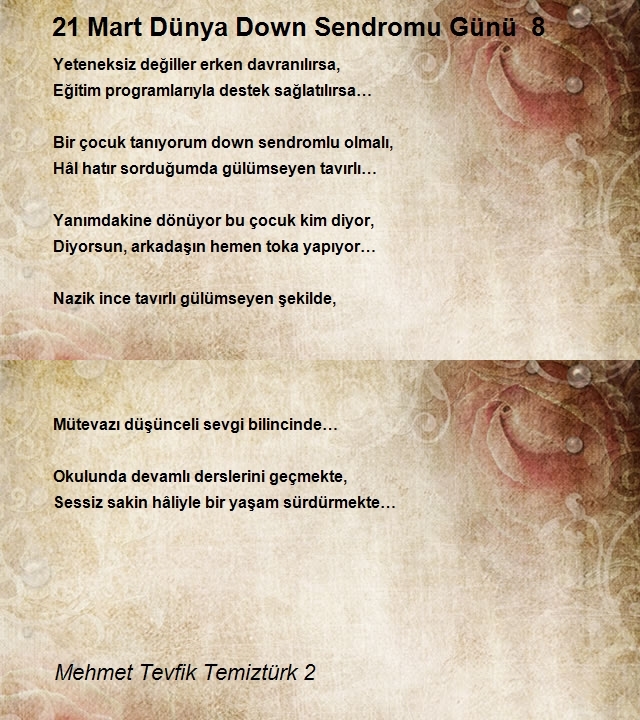 Mehmet Tevfik Temiztürk 2