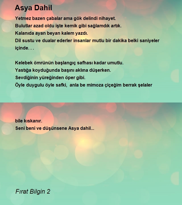 Fırat Bilgin 2