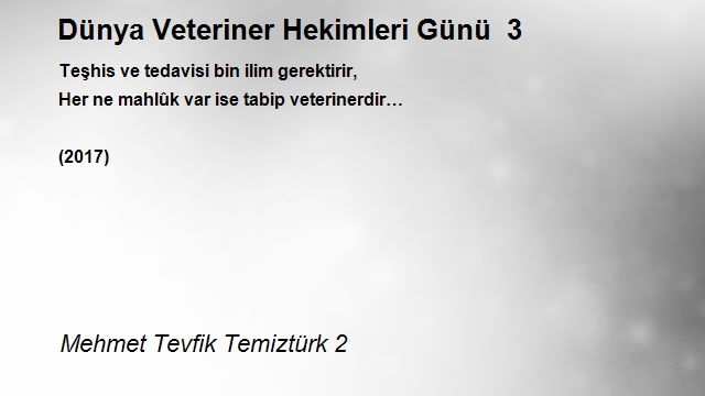 Mehmet Tevfik Temiztürk 2