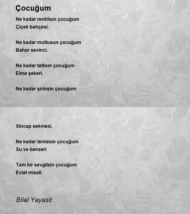 Bilal Yayasit