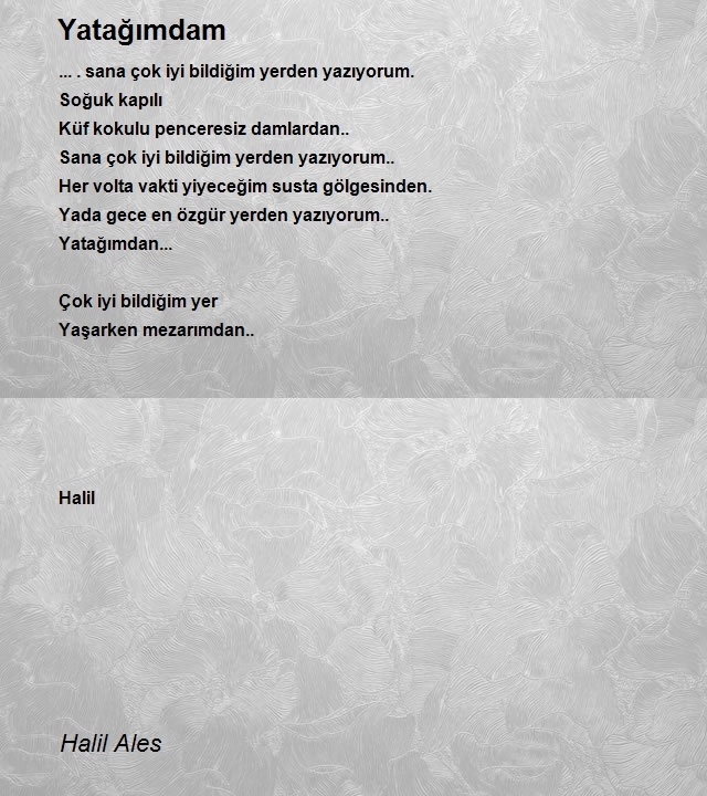 Halil Ales