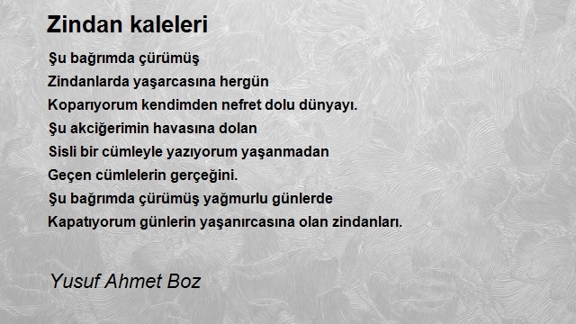 Yusuf Ahmet Boz