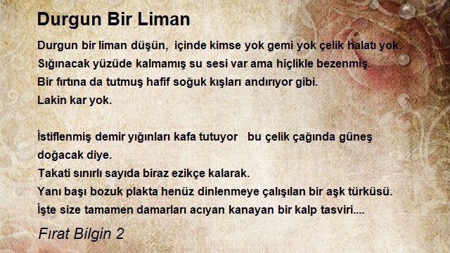 Fırat Bilgin 2