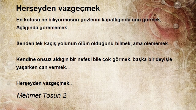 Mehmet Tosun 2