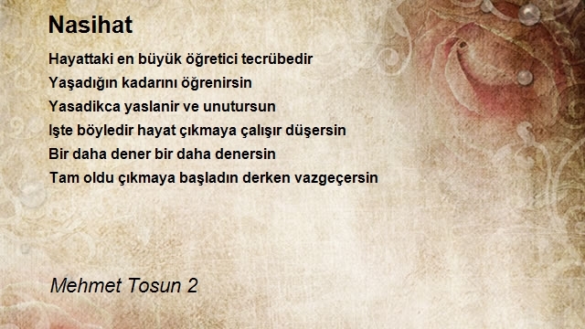 Mehmet Tosun 2