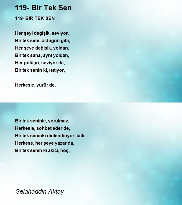 Selahaddin Aktay