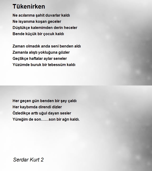 Serdar Kurt 2