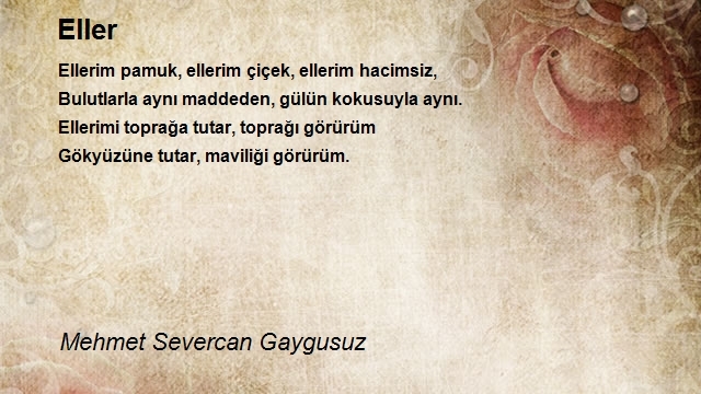 Mehmet Severcan Gaygusuz