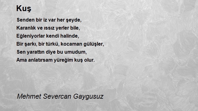 Mehmet Severcan Gaygusuz