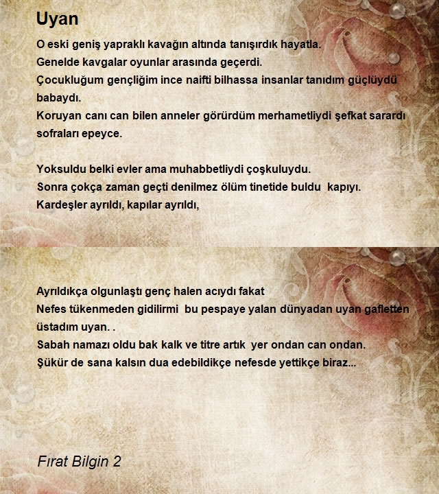 Fırat Bilgin 2