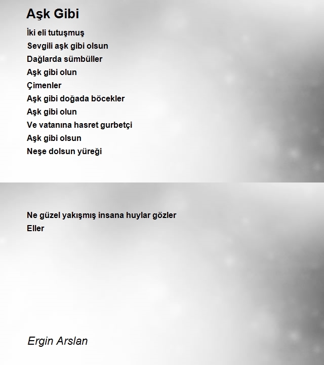 Ergin Arslan