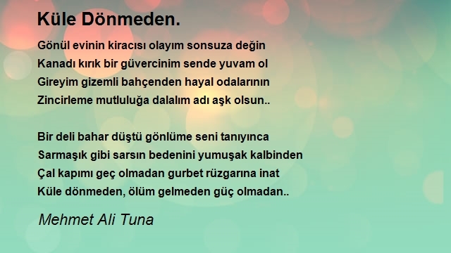 Mehmet Ali Tuna