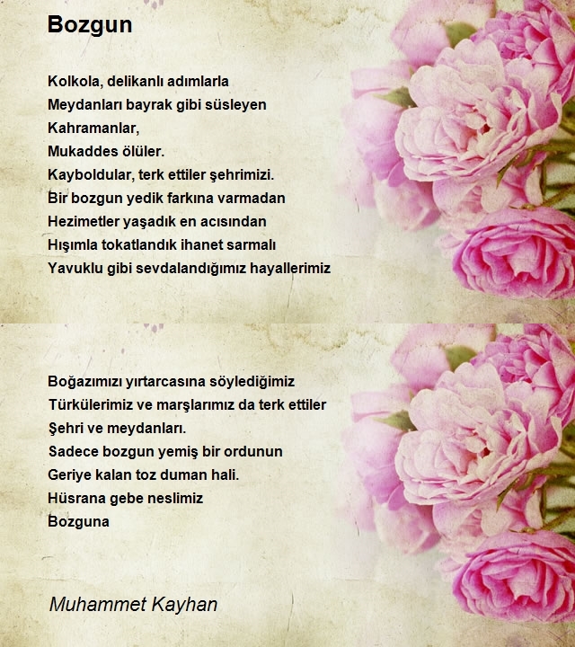 Muhammet Kayhan