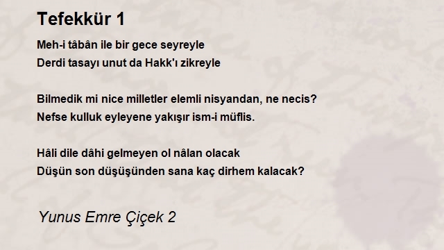 Yunus Emre Çiçek 2