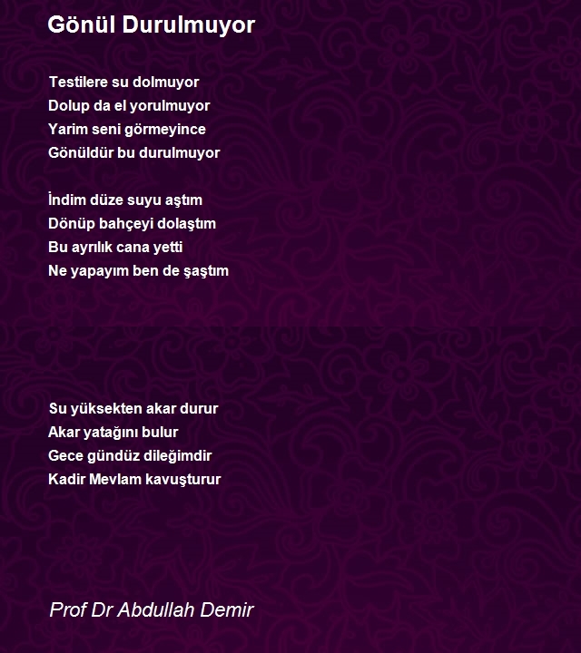 Prof Dr Abdullah Demir