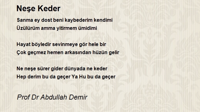 Prof Dr Abdullah Demir