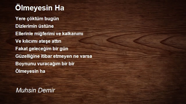 Muhsin Demir