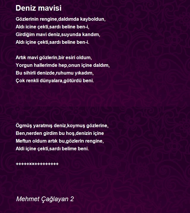 Mehmet Çağlayan 2