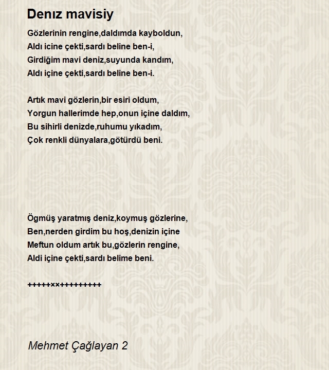 Mehmet Çağlayan 2