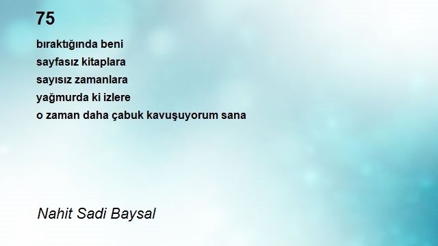 Nahit Sadi Baysal