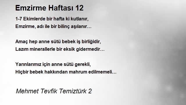 Mehmet Tevfik Temiztürk 2