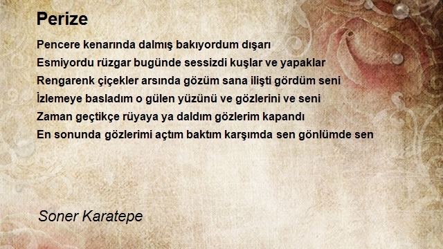 Soner Karatepe