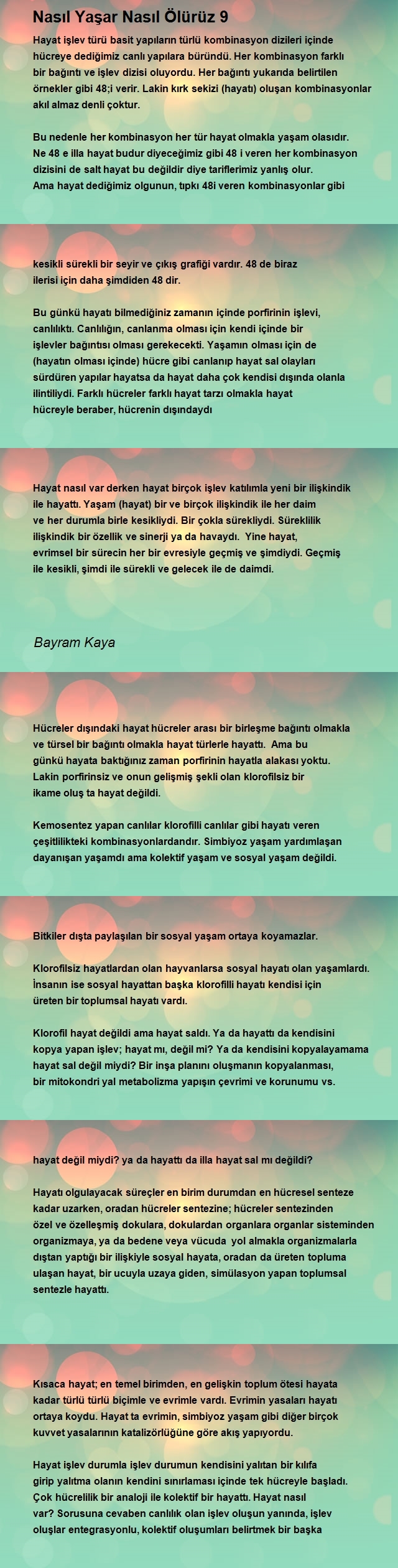 Bayram Kaya