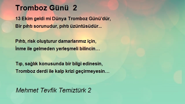 Mehmet Tevfik Temiztürk 2