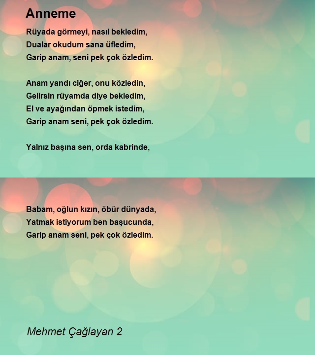 Mehmet Çağlayan 2