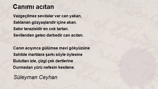 Süleyman Ceyhan