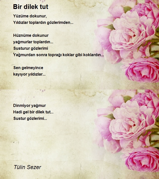 Tülin Sezer