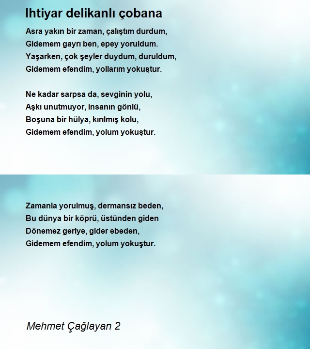 Mehmet Çağlayan 2