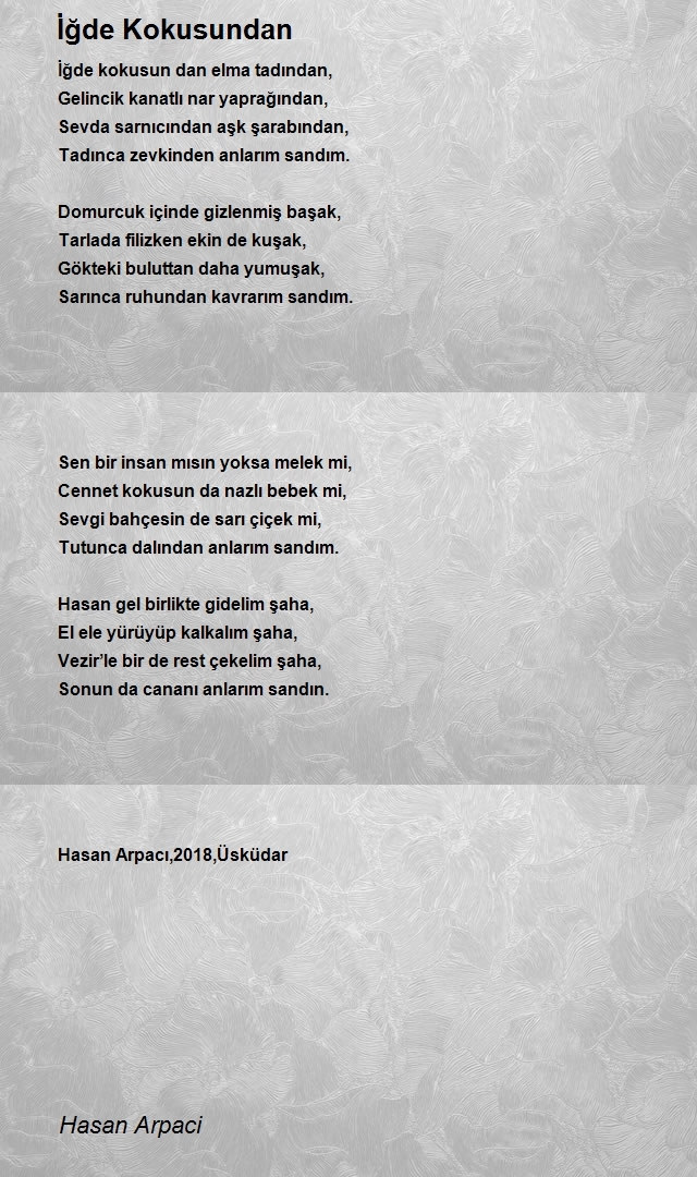 Hasan Arpaci