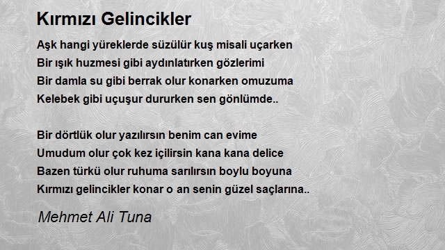 Mehmet Ali Tuna