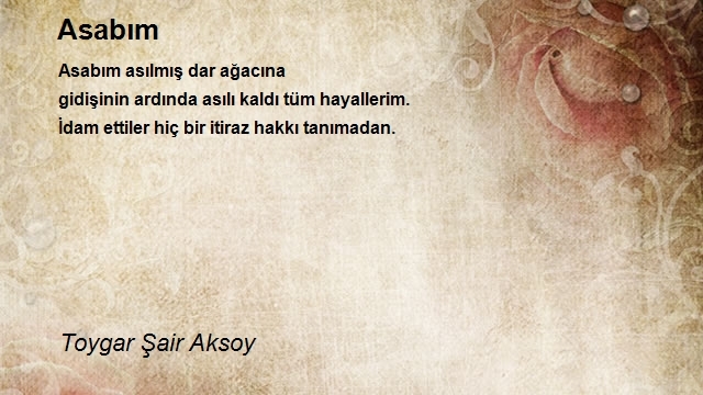 Toygar Şair Aksoy