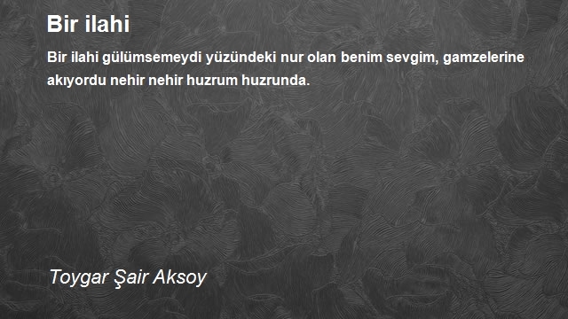 Toygar Şair Aksoy