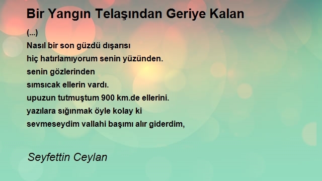 Seyfettin Ceylan