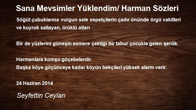 Seyfettin Ceylan